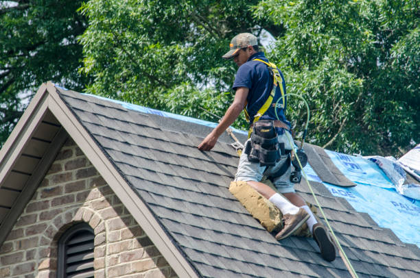Best Shingle Roofing Installation  in Durand, WI